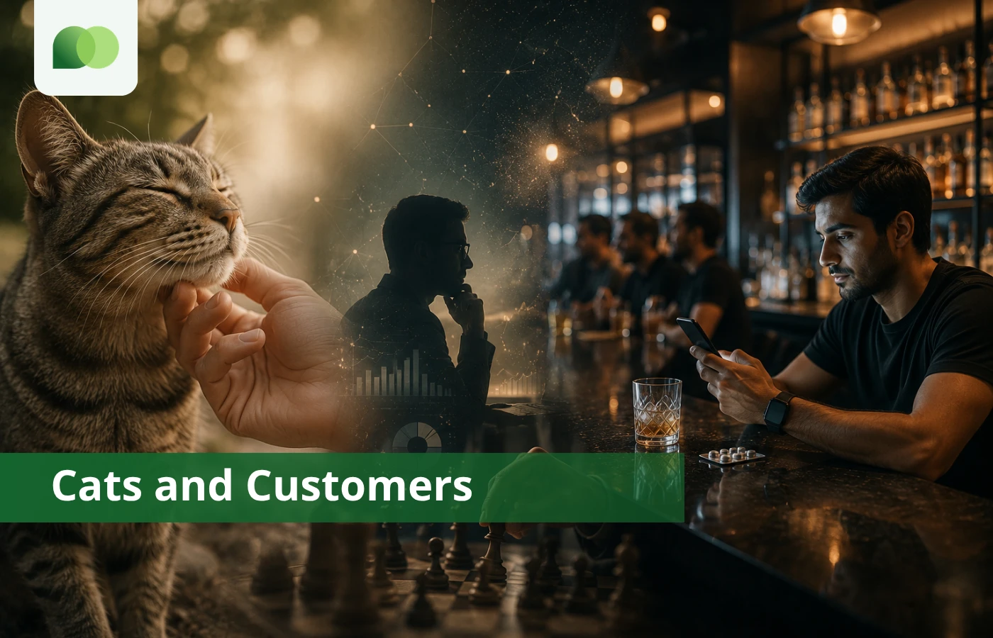 Cats and Customers